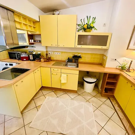 Penthouse With Private Rooftop Riga