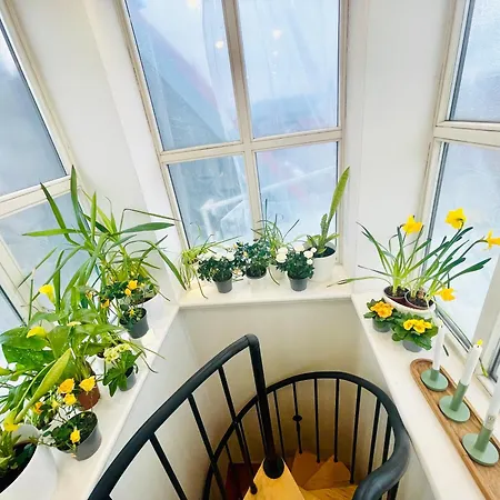 Apartment Penthouse With Private Rooftop